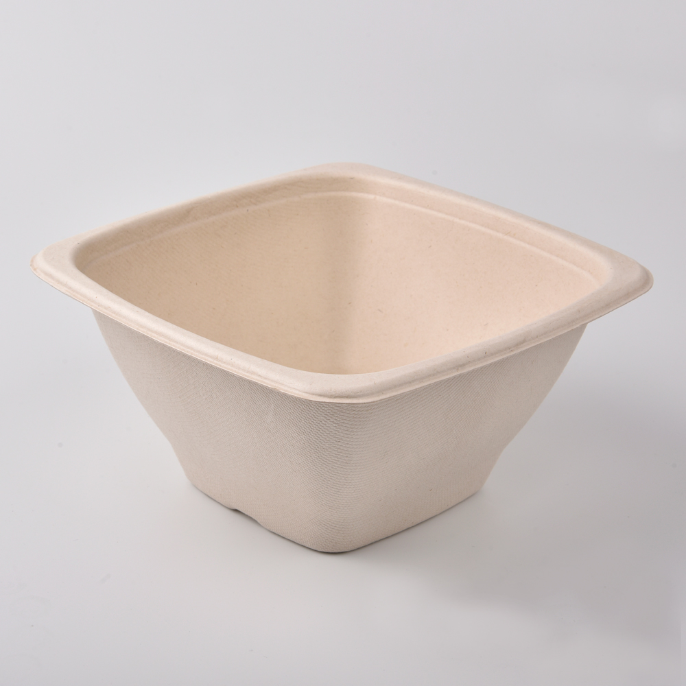 sugarcane bagasse square bowl