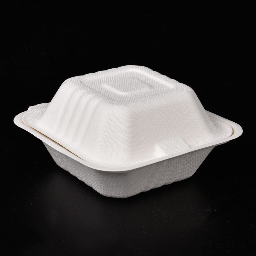 sugarcane bagasse hamburg box