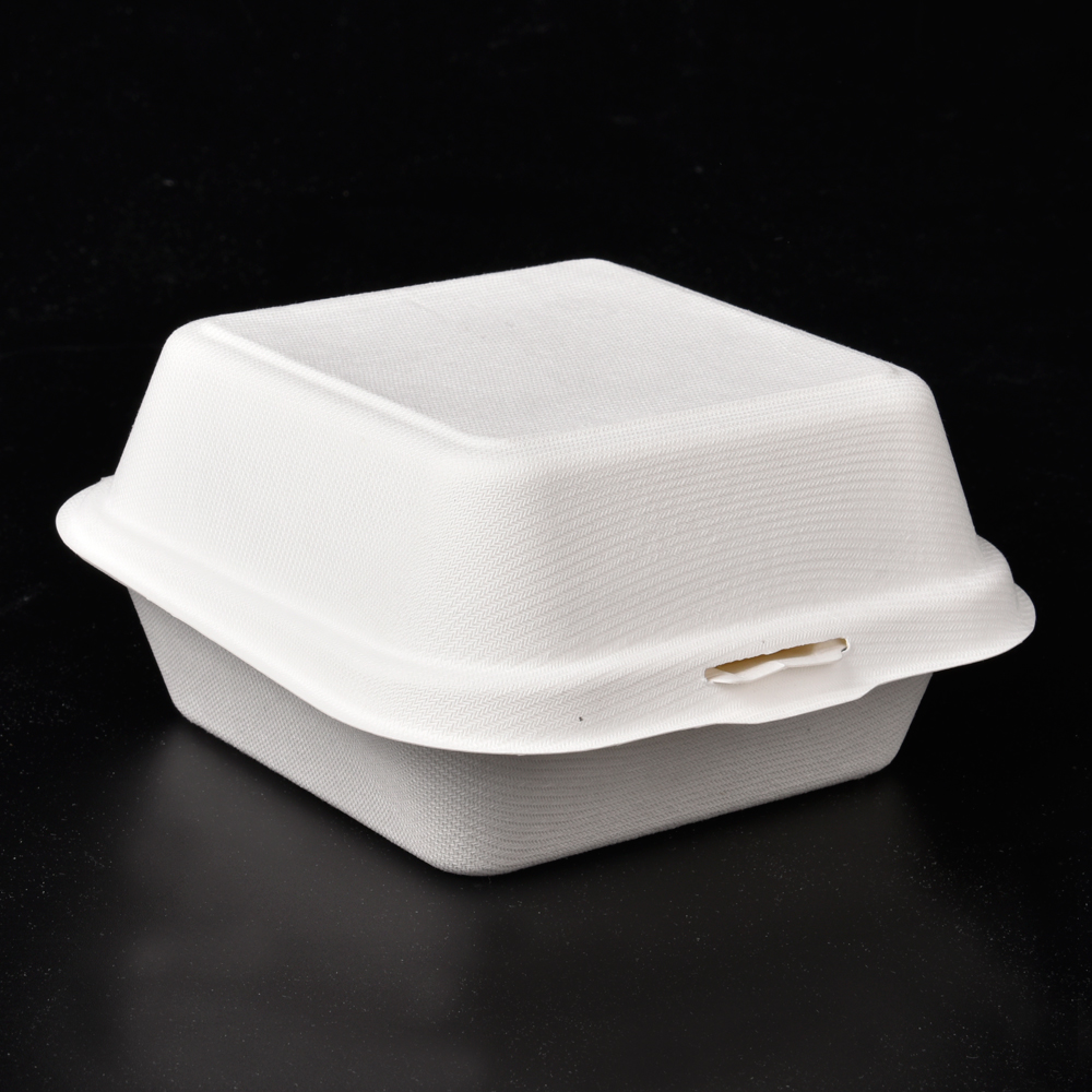 sugarcane bagasse hamburg box