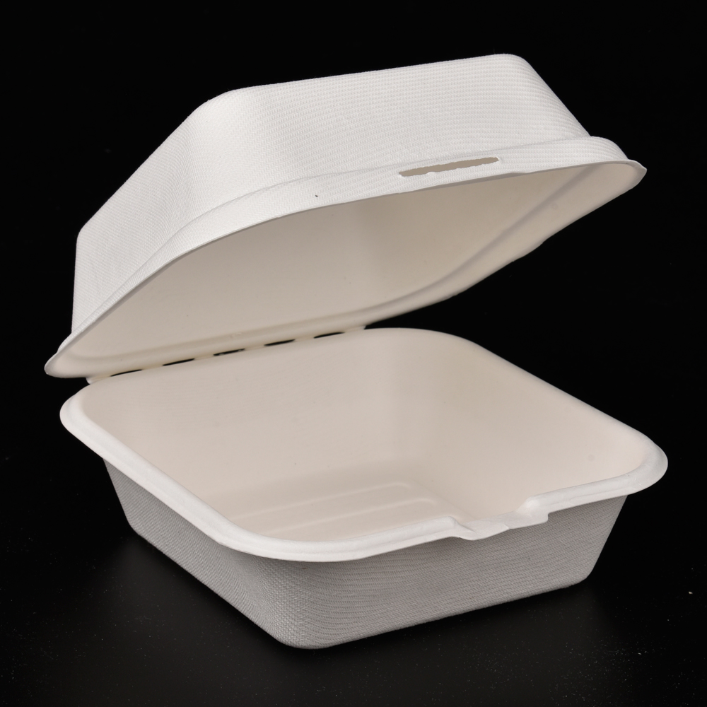 sugarcane bagasse hamburg box