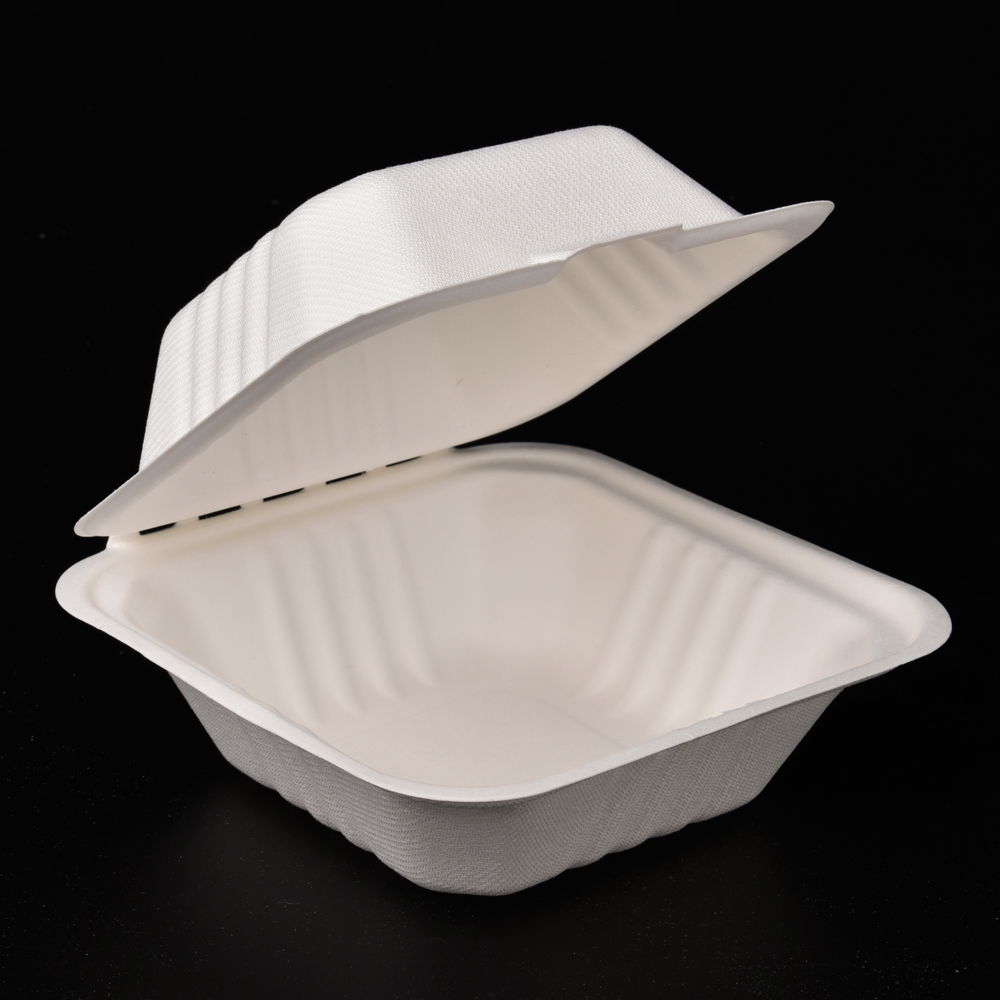 sugarcane bagasse hamburg box