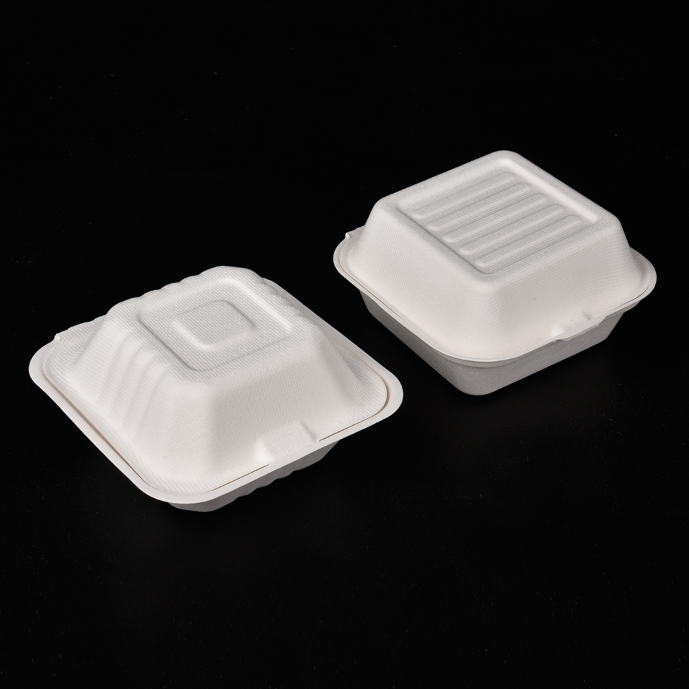 sugarcane bagasse hamburg box