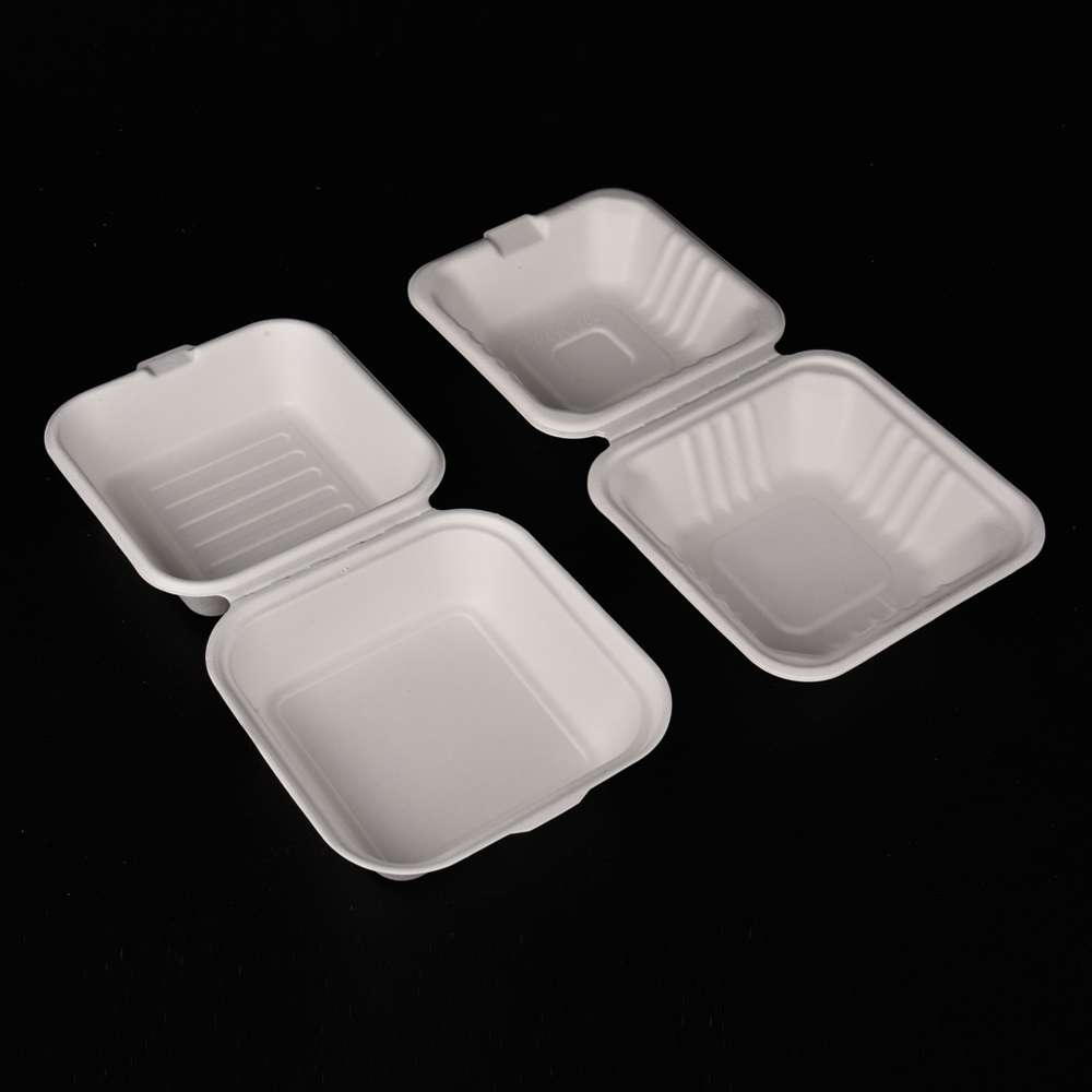 sugarcane bagasse hamburg box