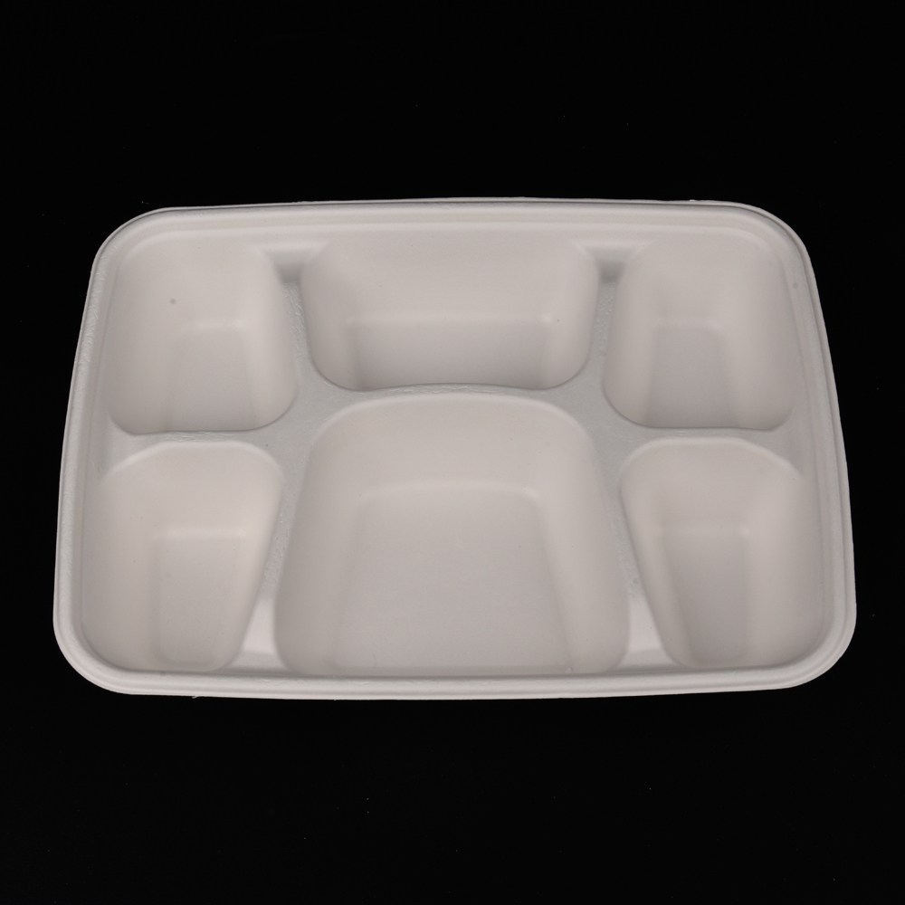 sugarcane bagasse  food container