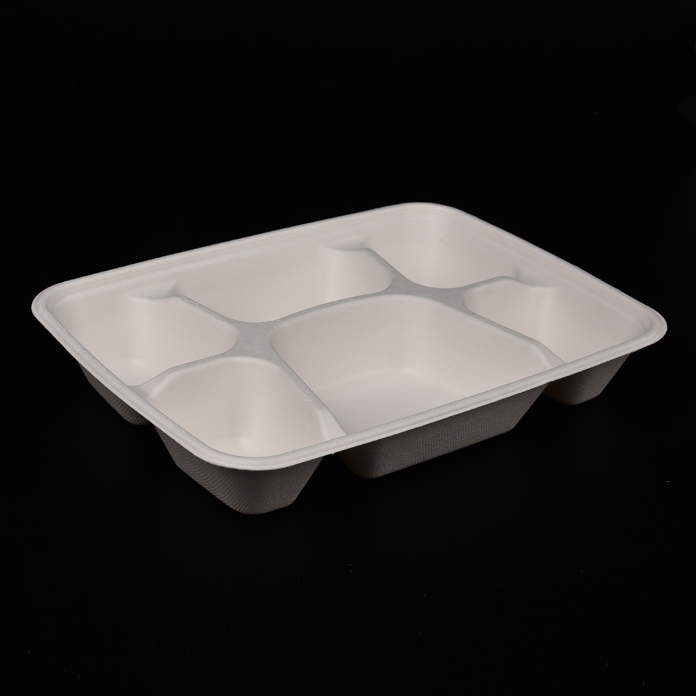 sugarcane bagasse  food container