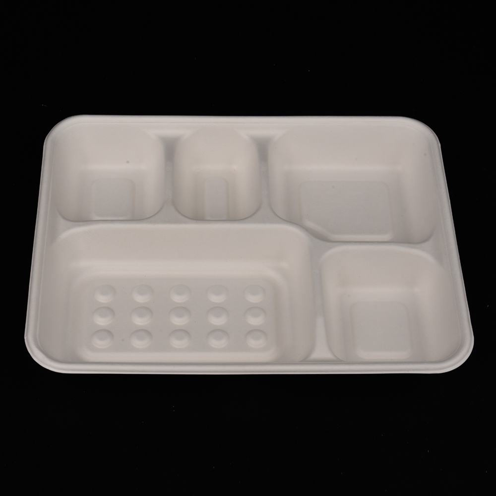 sugarcane bagasse  food container