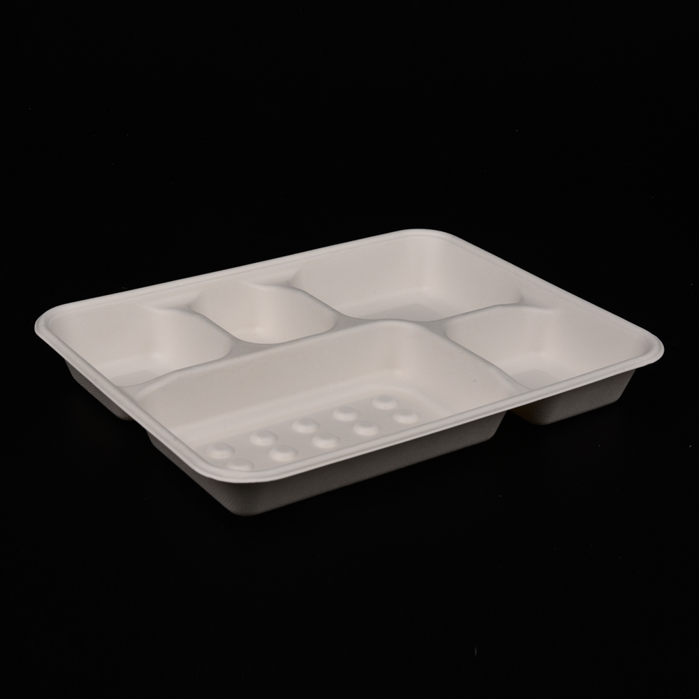 sugarcane bagasse  food container