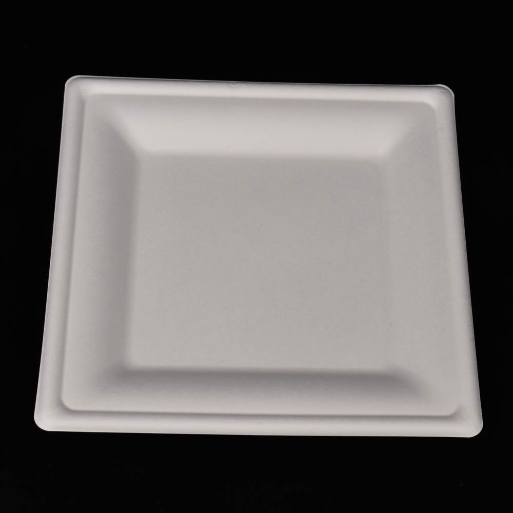 sugarcane bagasse square plate（tray）