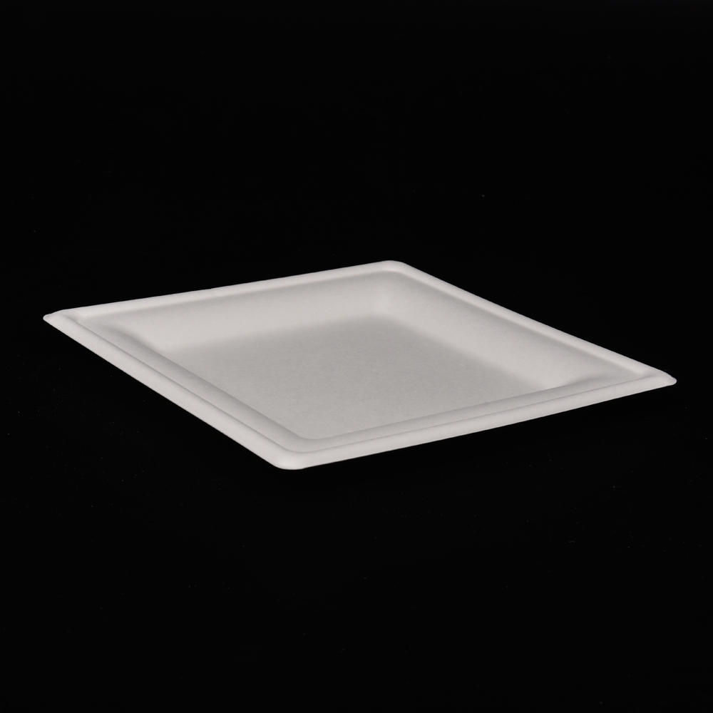 sugarcane bagasse square plate（tray）