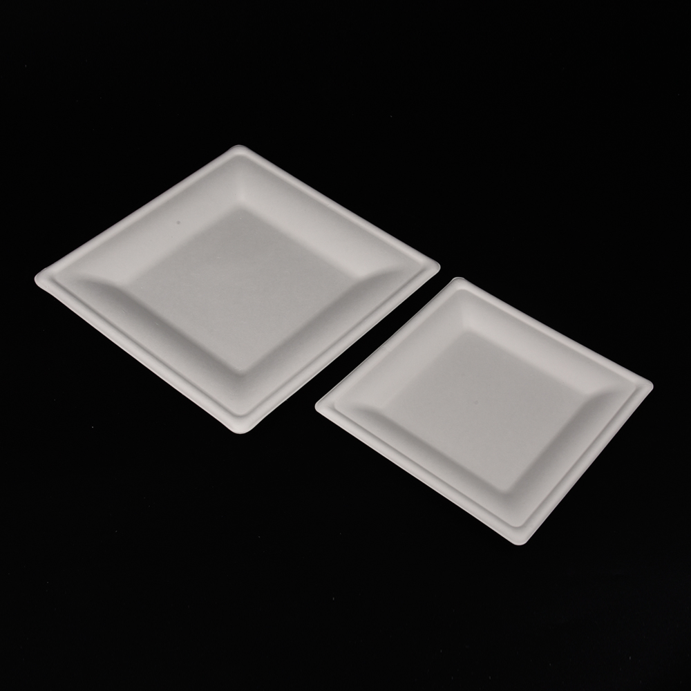 sugarcane bagasse square plate（tray）