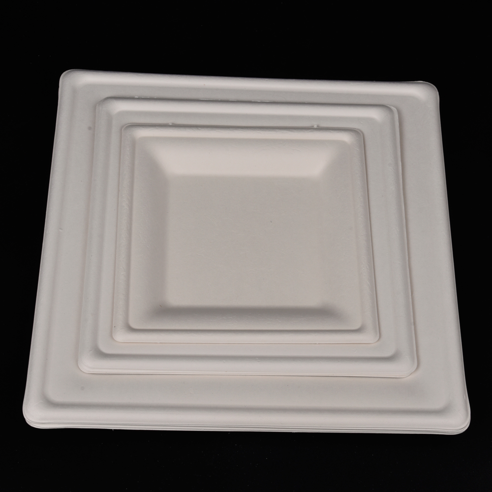 sugarcane bagasse square plate（tray）