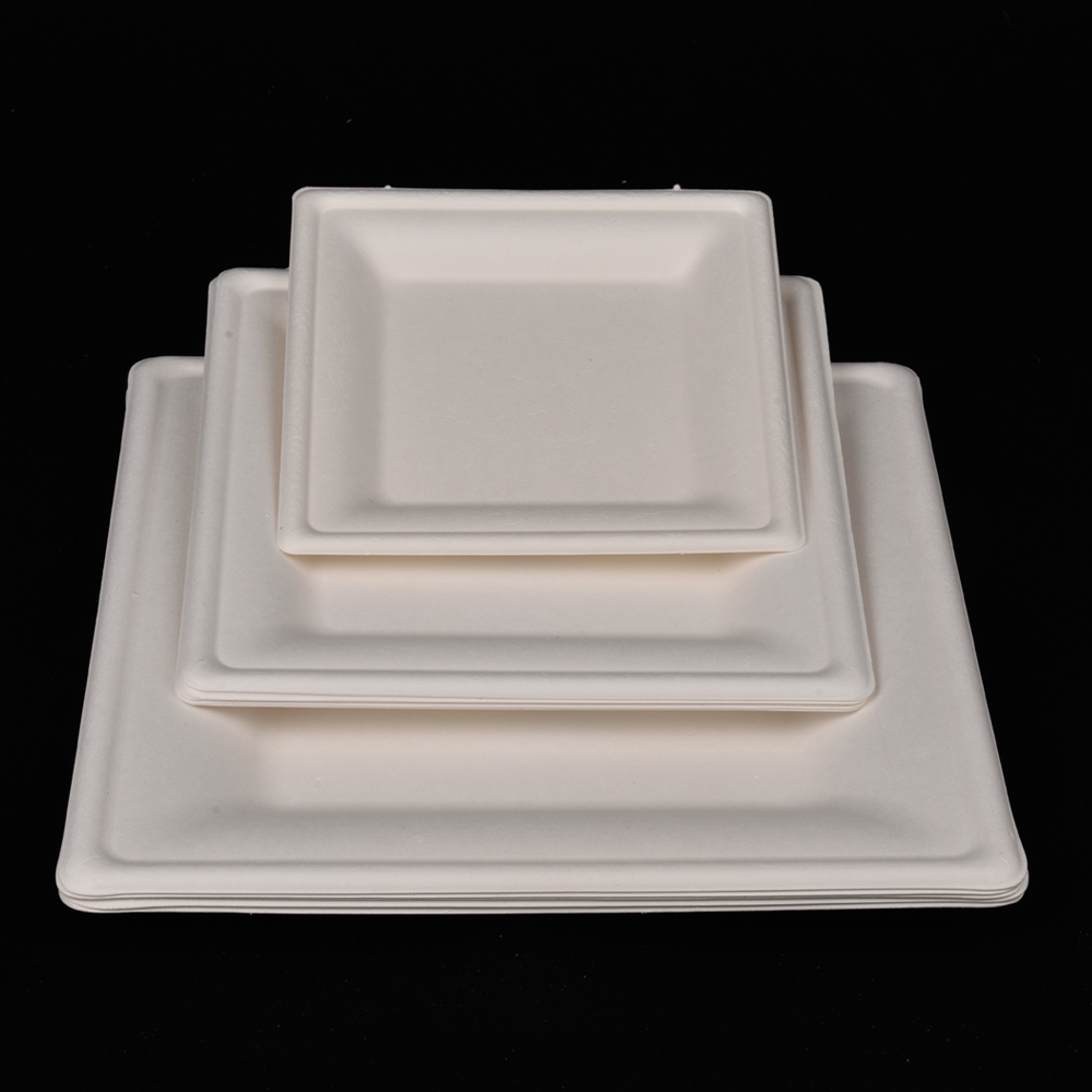 sugarcane bagasse square plate（tray）