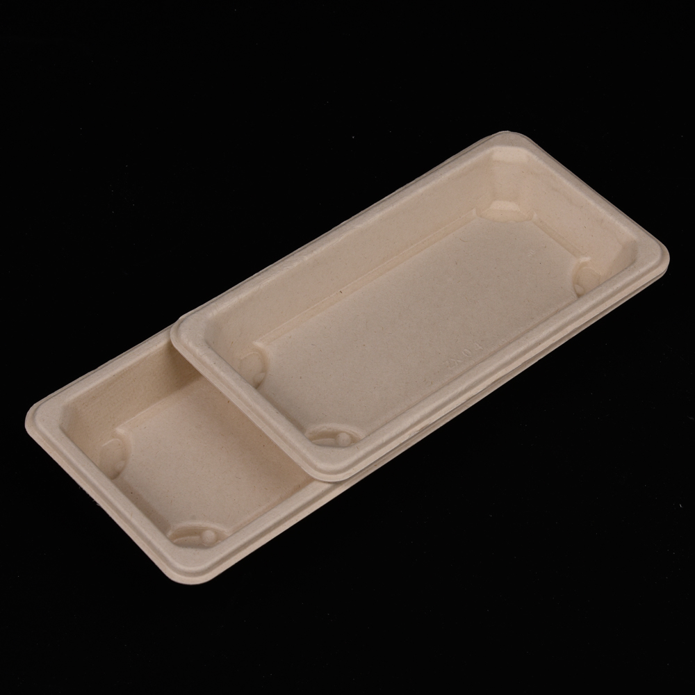 sugarcane bagasse sushi plate (tray)