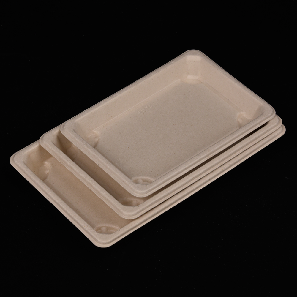 sugarcane bagasse sushi plate (tray)