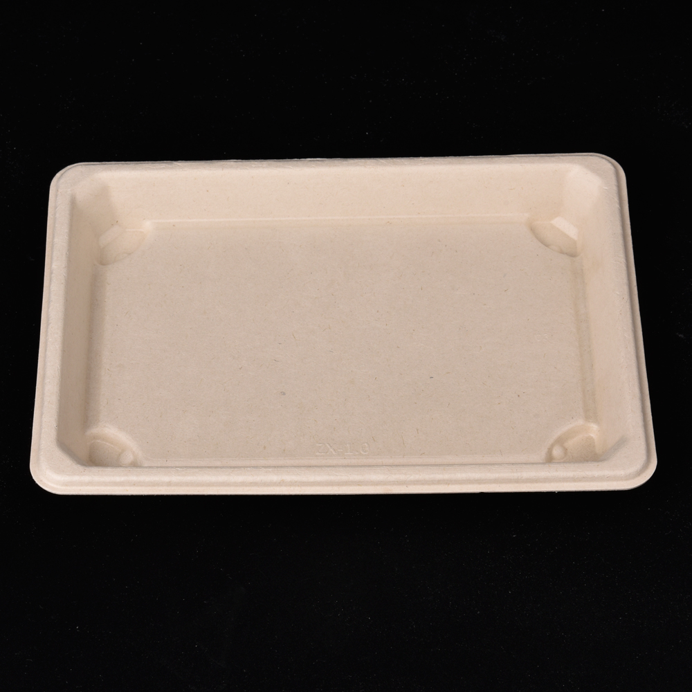 sugarcane bagasse sushi plate (tray)