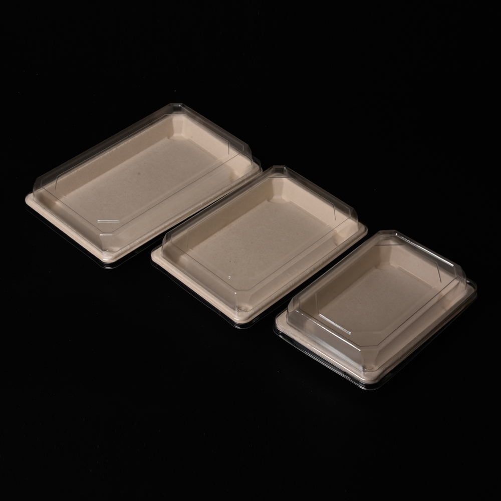 sugarcane bagasse sushi plate (tray)