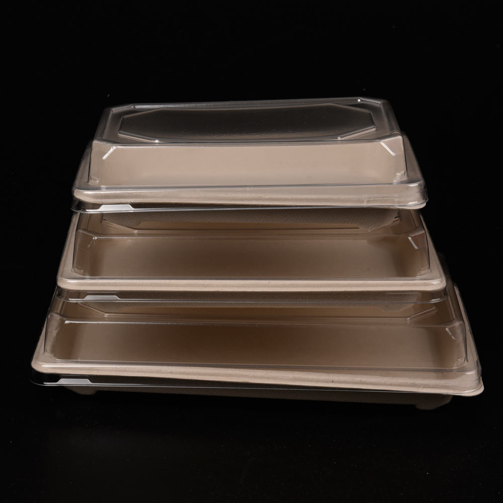 sugarcane bagasse sushi plate (tray)