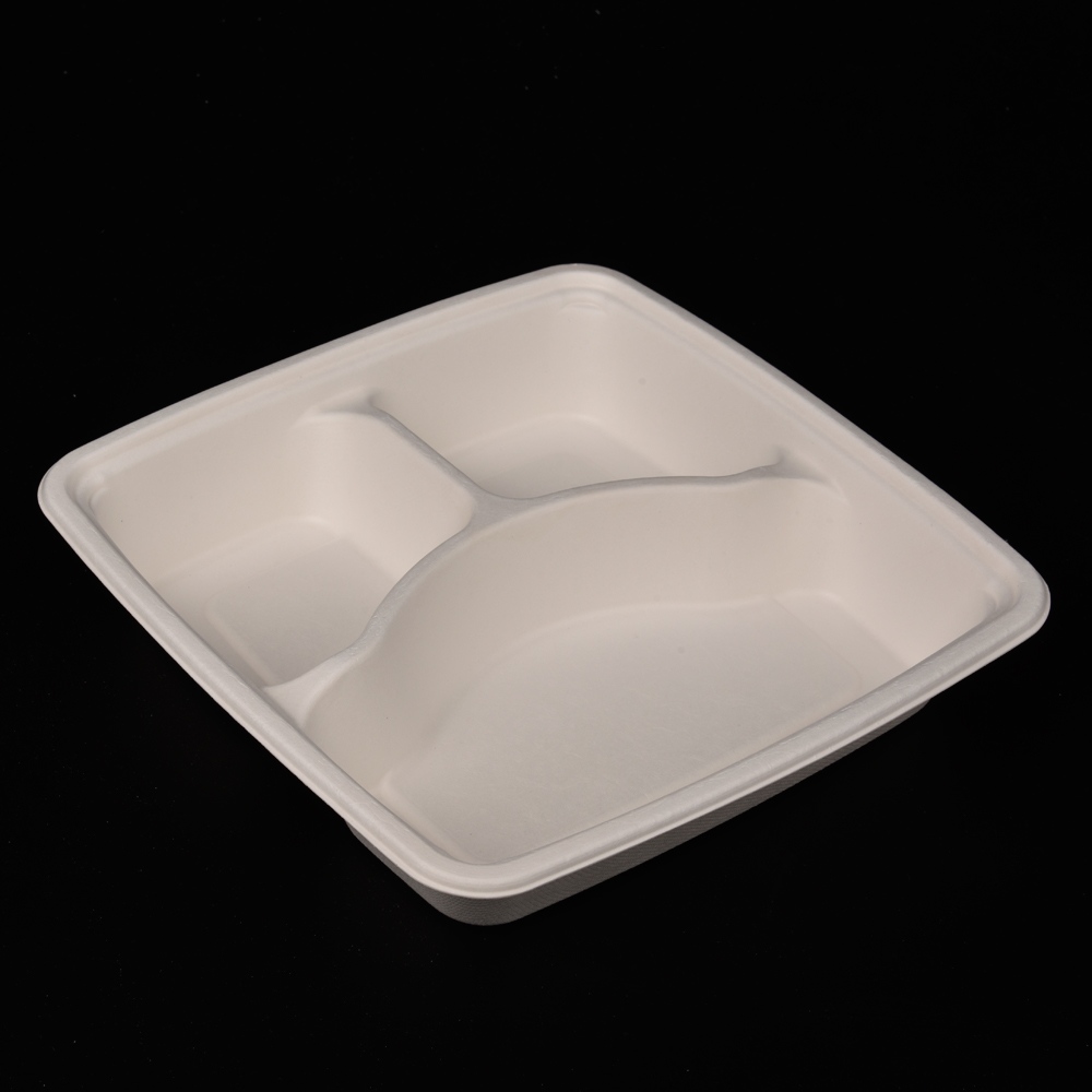 sugarcane bagasse  food container