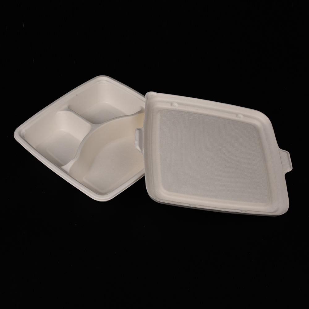 sugarcane bagasse  food container