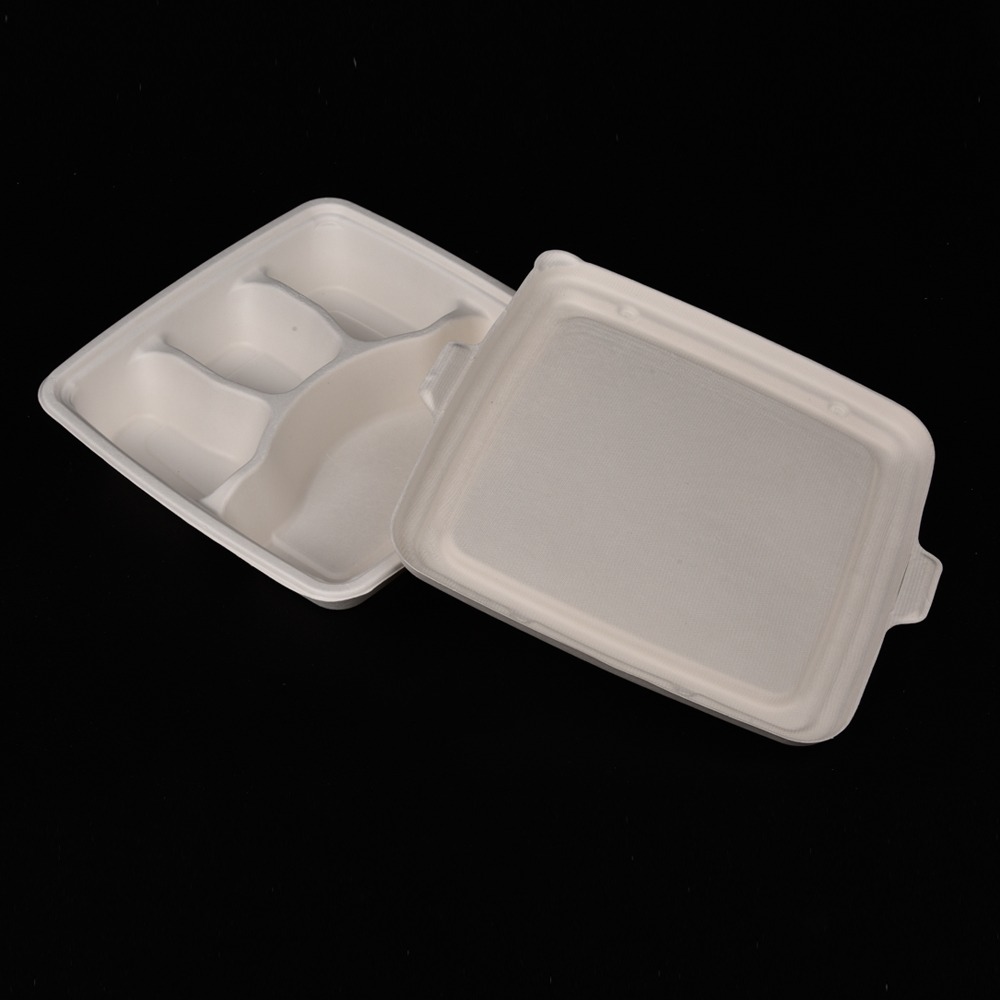 sugarcane bagasse  food container