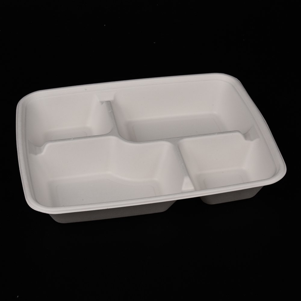 sugarcane bagasse  food container