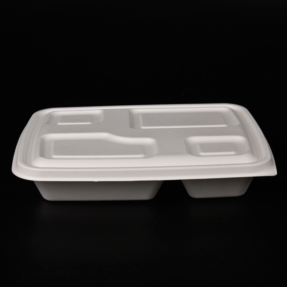 sugarcane bagasse  food container