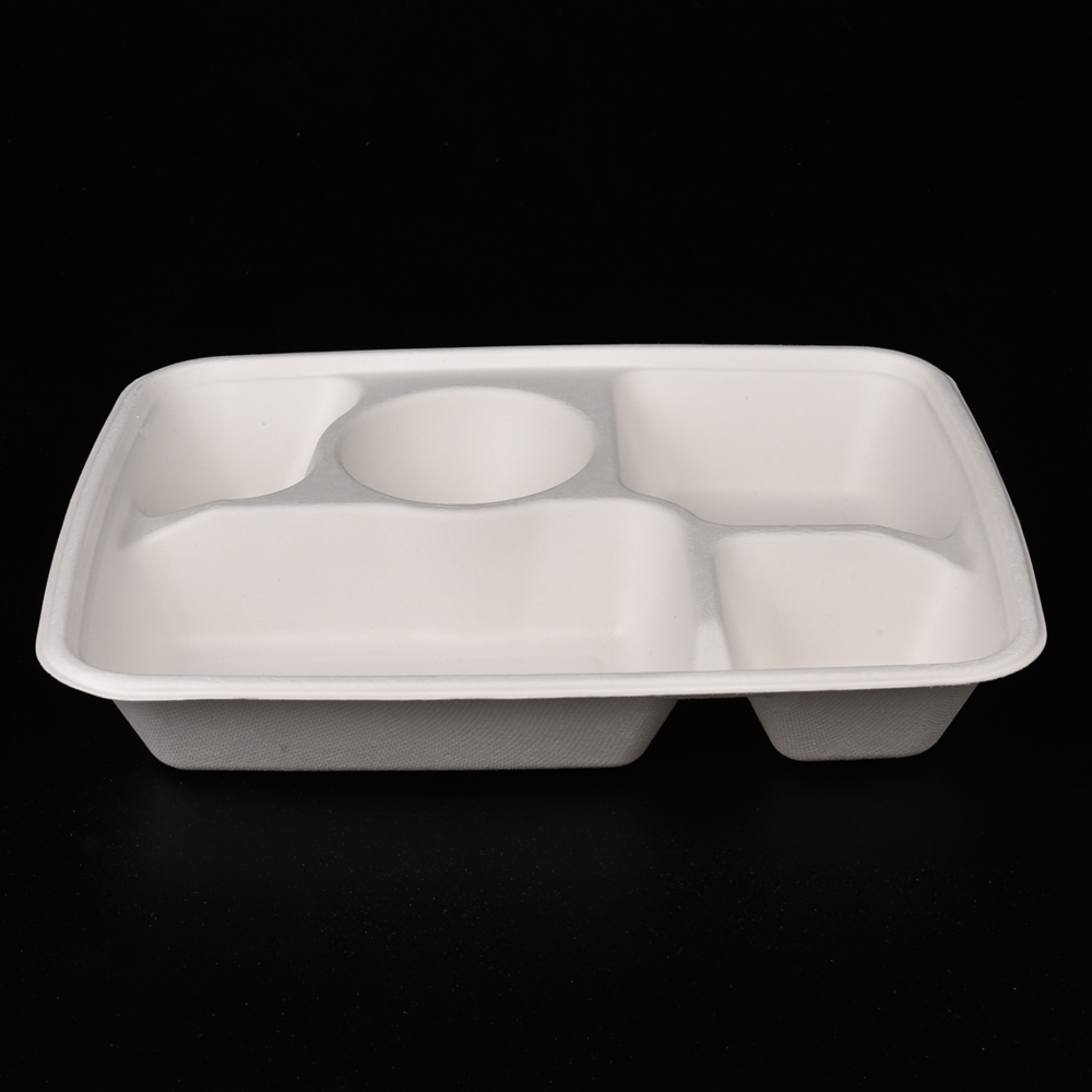 sugarcane bagasse  food container