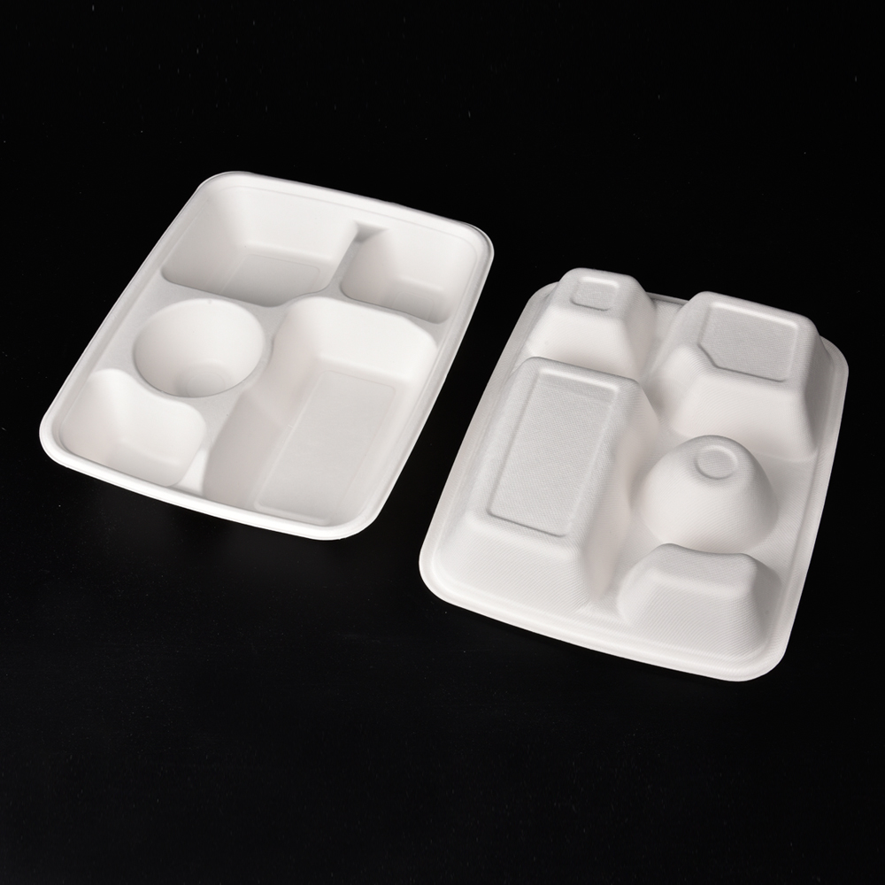 sugarcane bagasse  food container