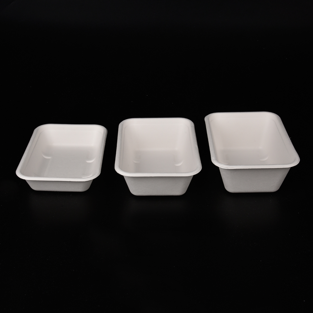 sugarcane bagasse  food container