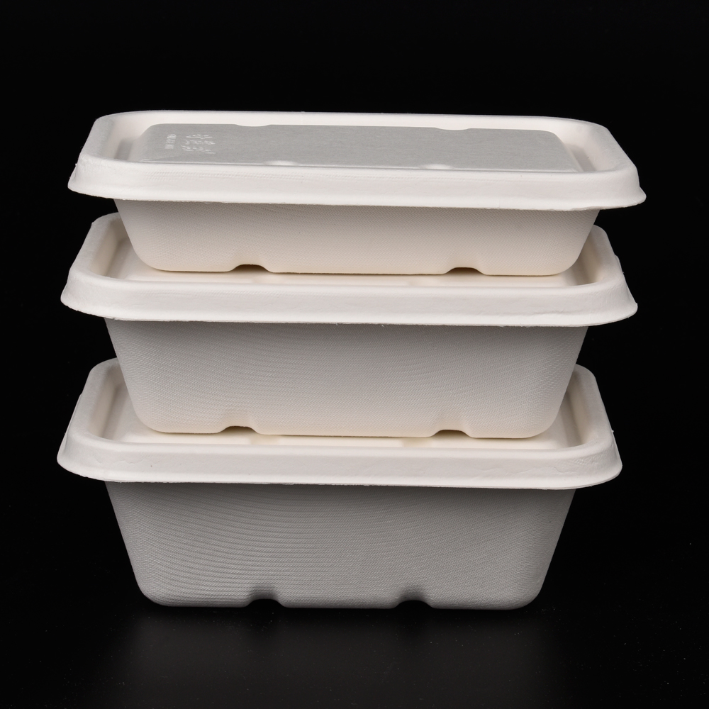 sugarcane bagasse  food container