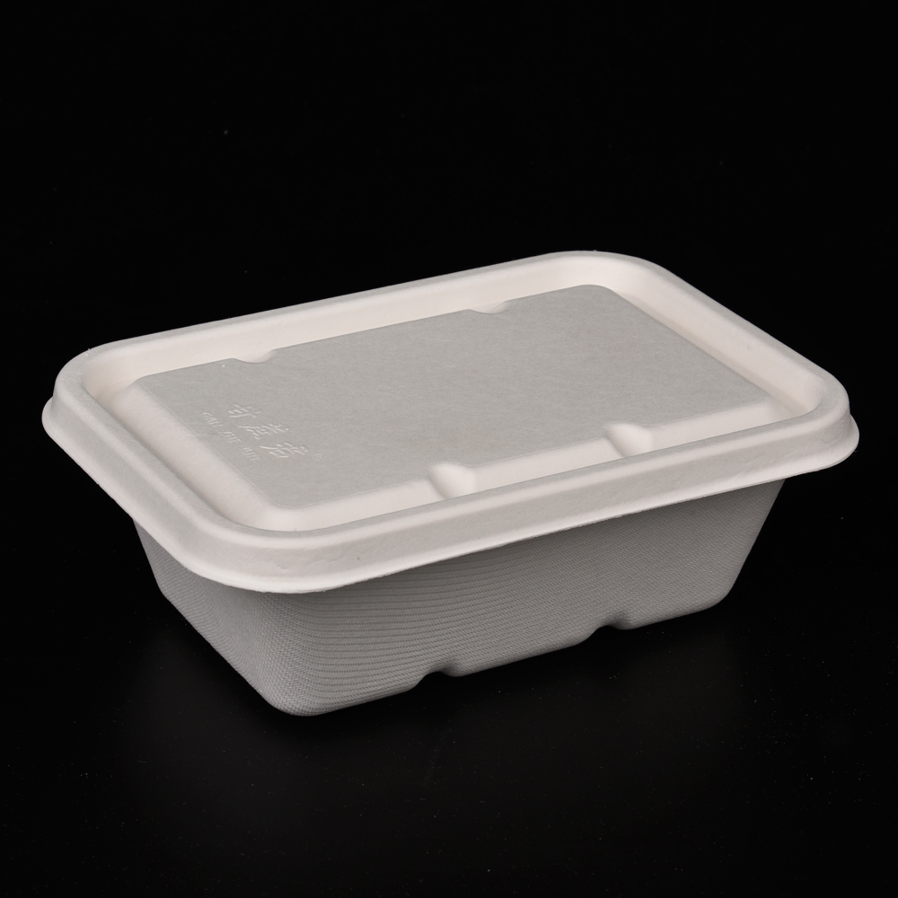 sugarcane bagasse  food container