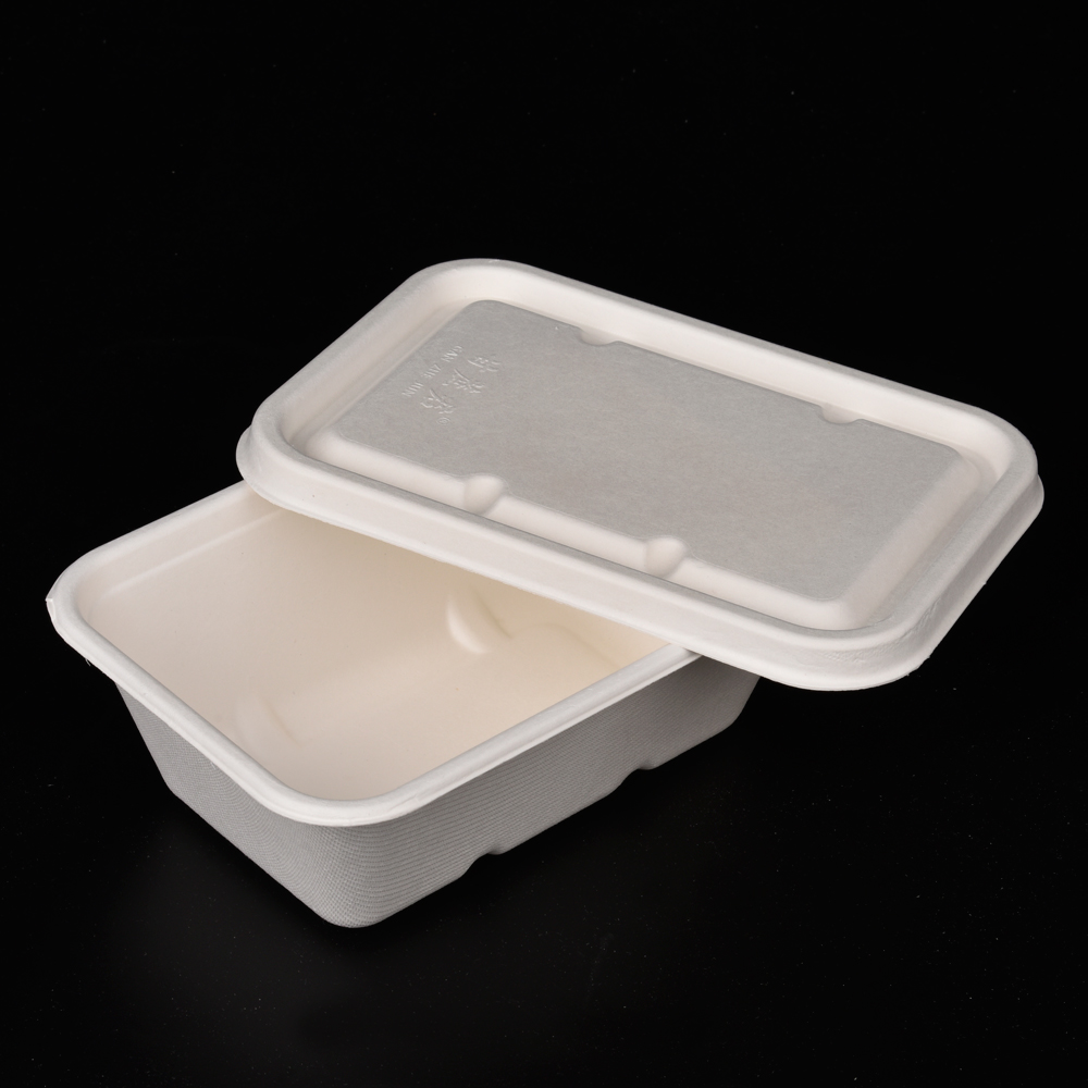 sugarcane bagasse  food container