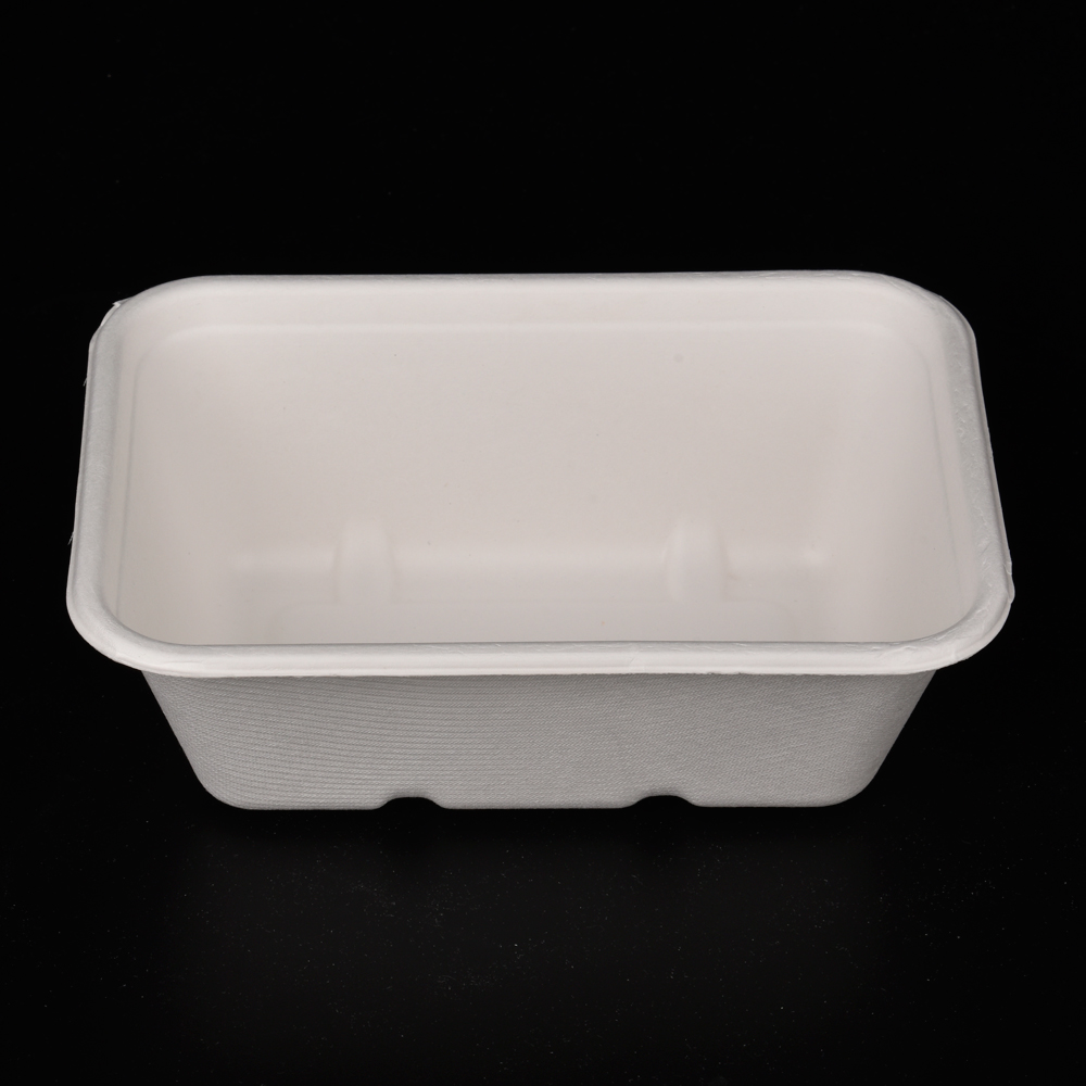 sugarcane bagasse  food container