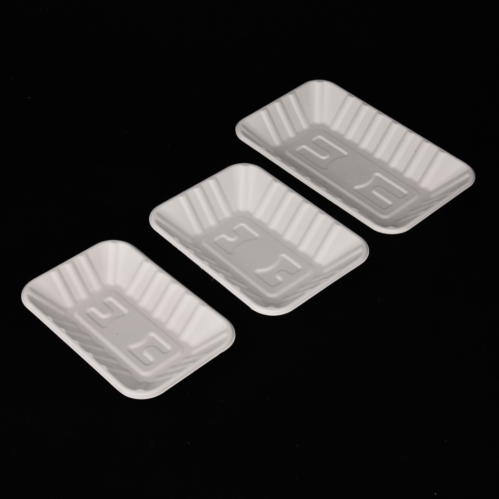 sugarcane bagasse square plate（tray）