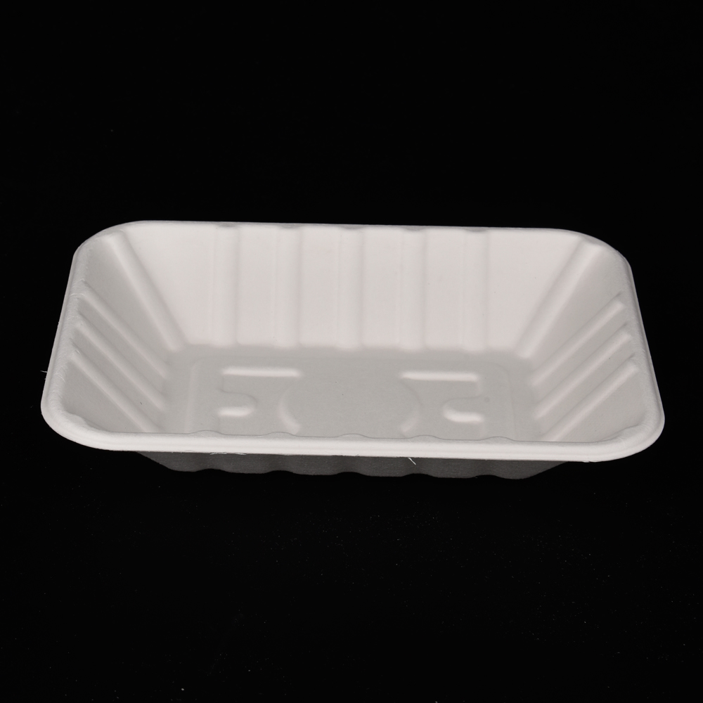 sugarcane bagasse square plate（tray）