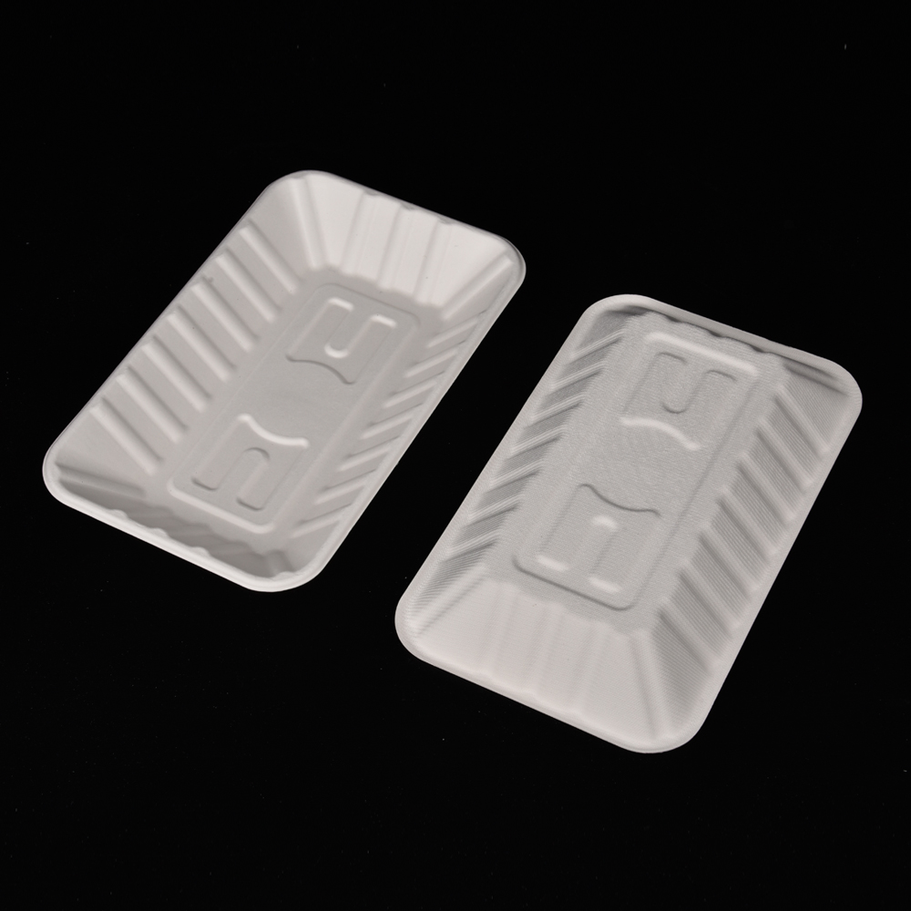 sugarcane bagasse square plate（tray）