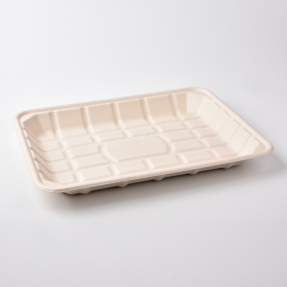 sugarcane bagasse square plate（tray）