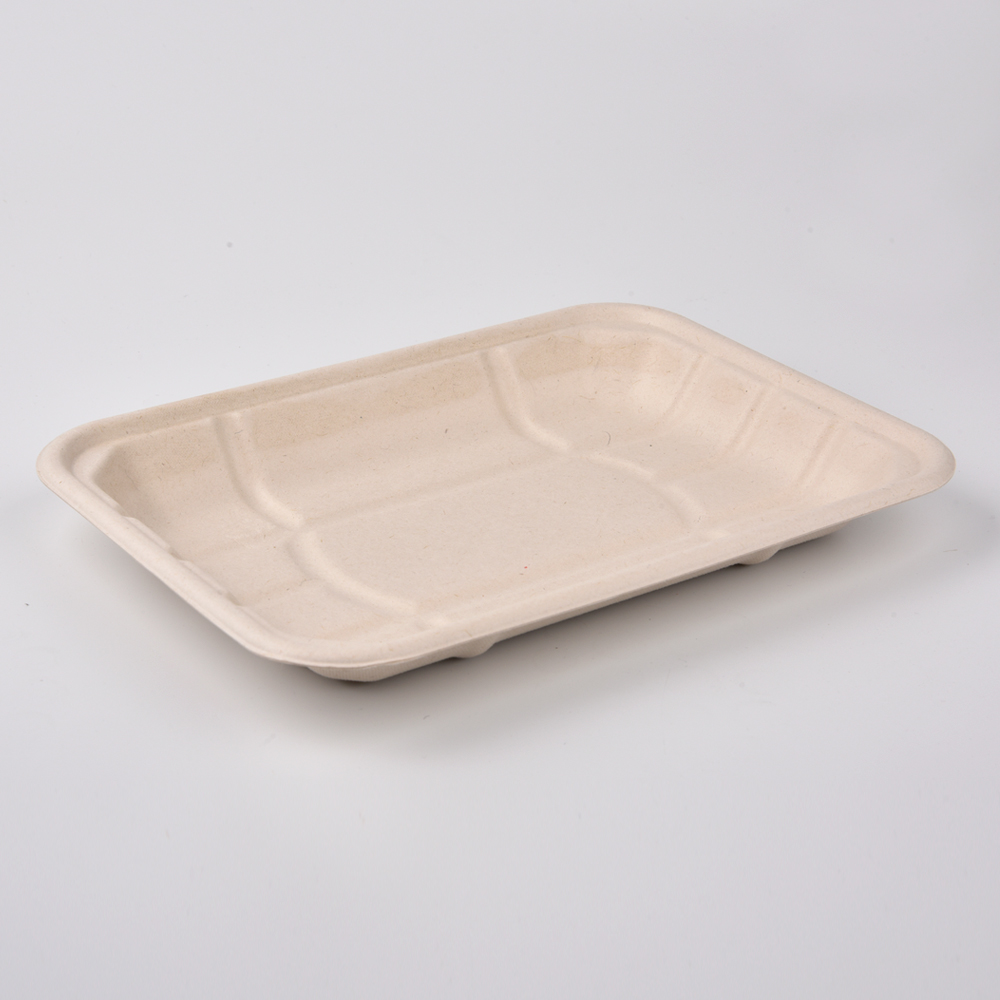 sugarcane bagasse square plate（tray）