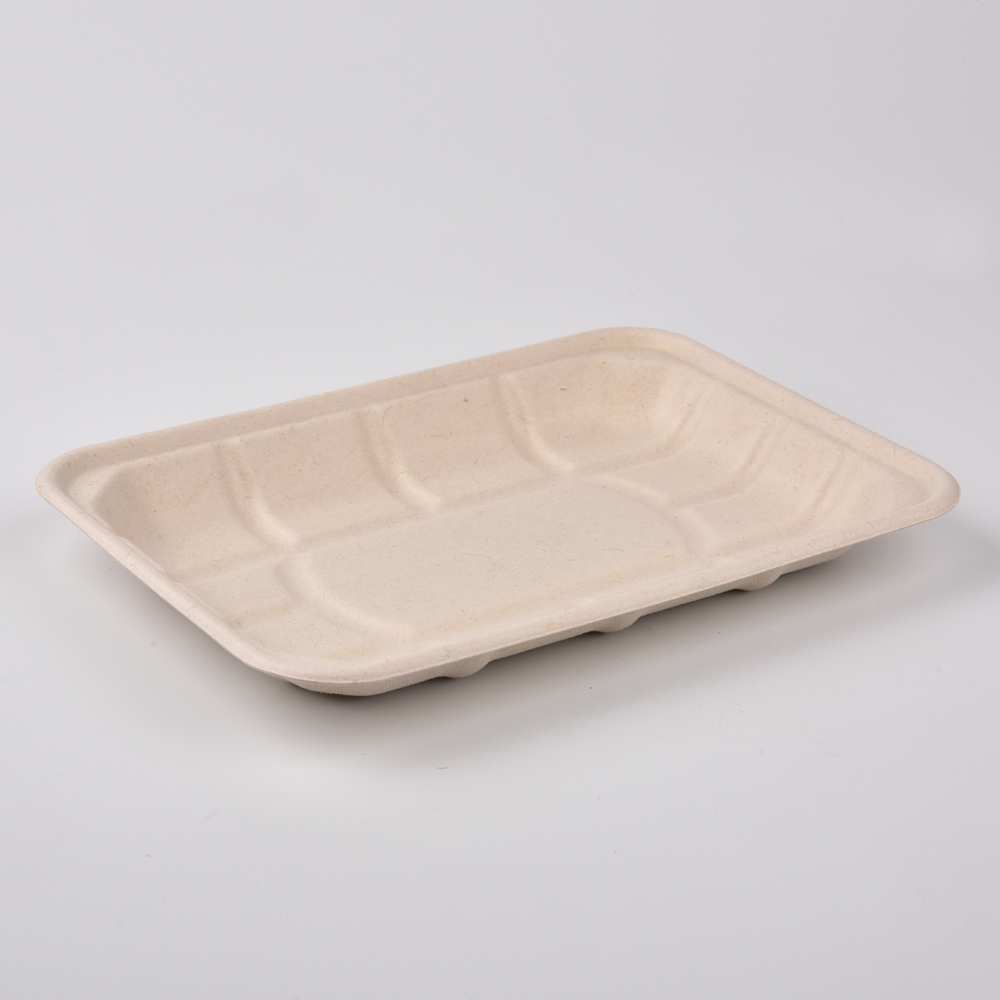 sugarcane bagasse square plate（tray）