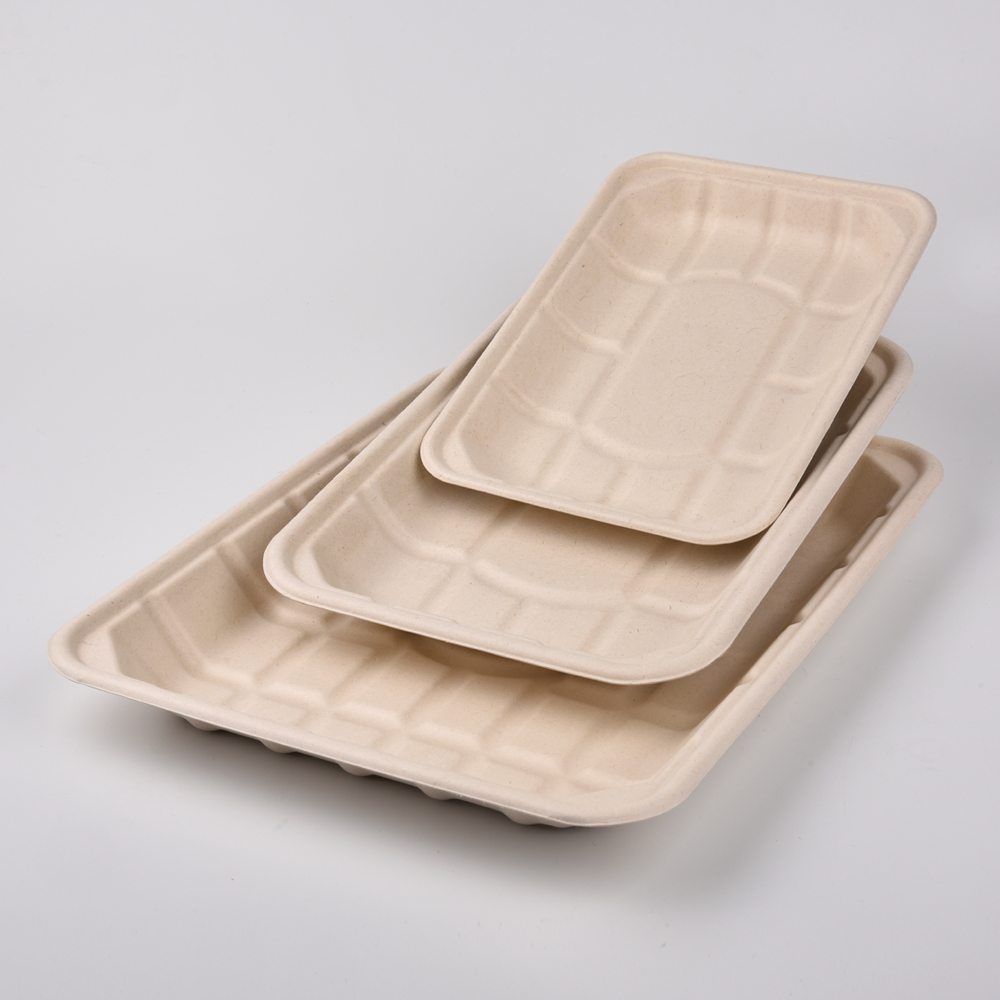 sugarcane bagasse square plate（tray）