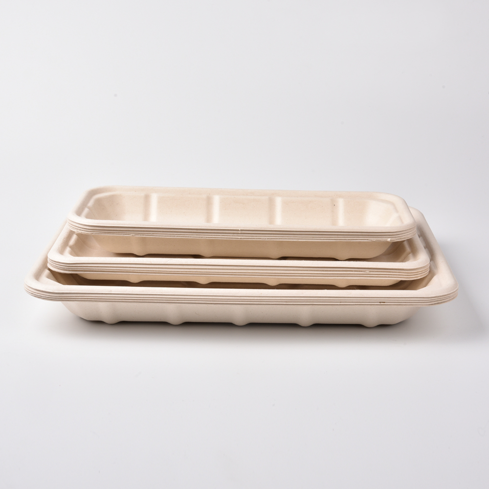 sugarcane bagasse square plate（tray）