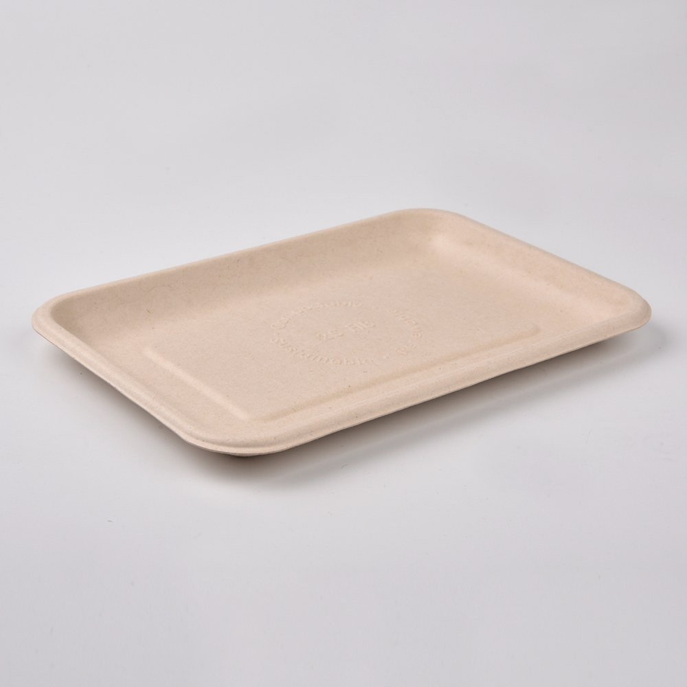 sugarcane bagasse square plate（tray）