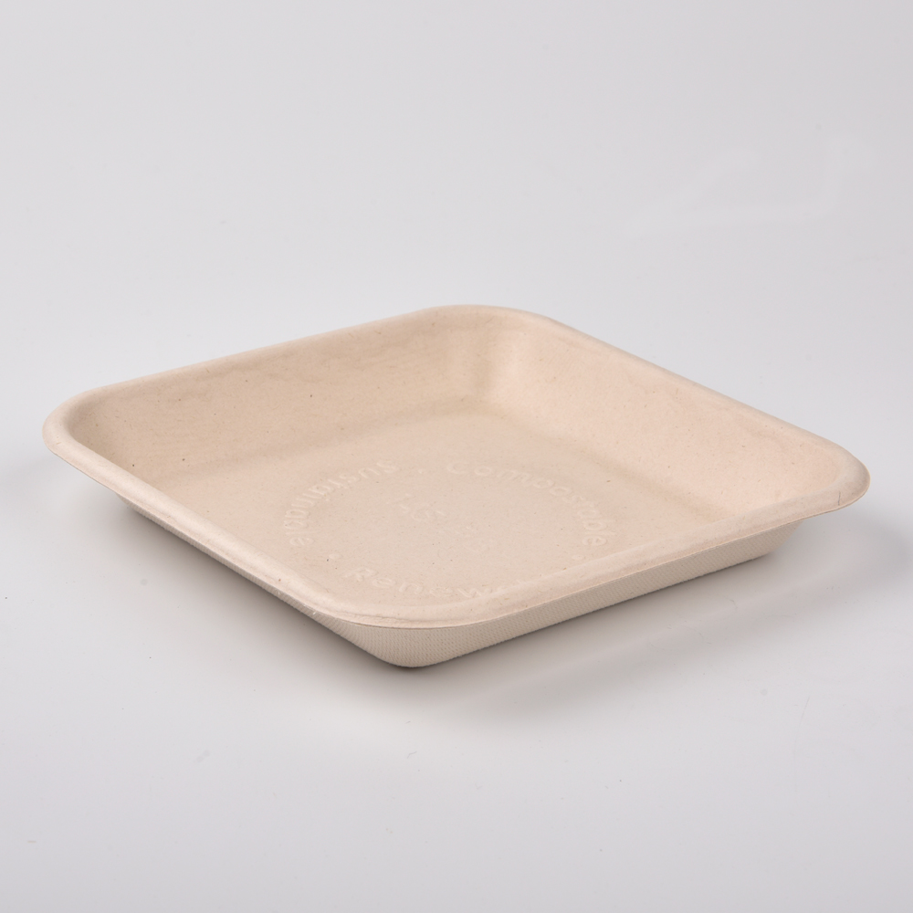 sugarcane bagasse square plate（tray）