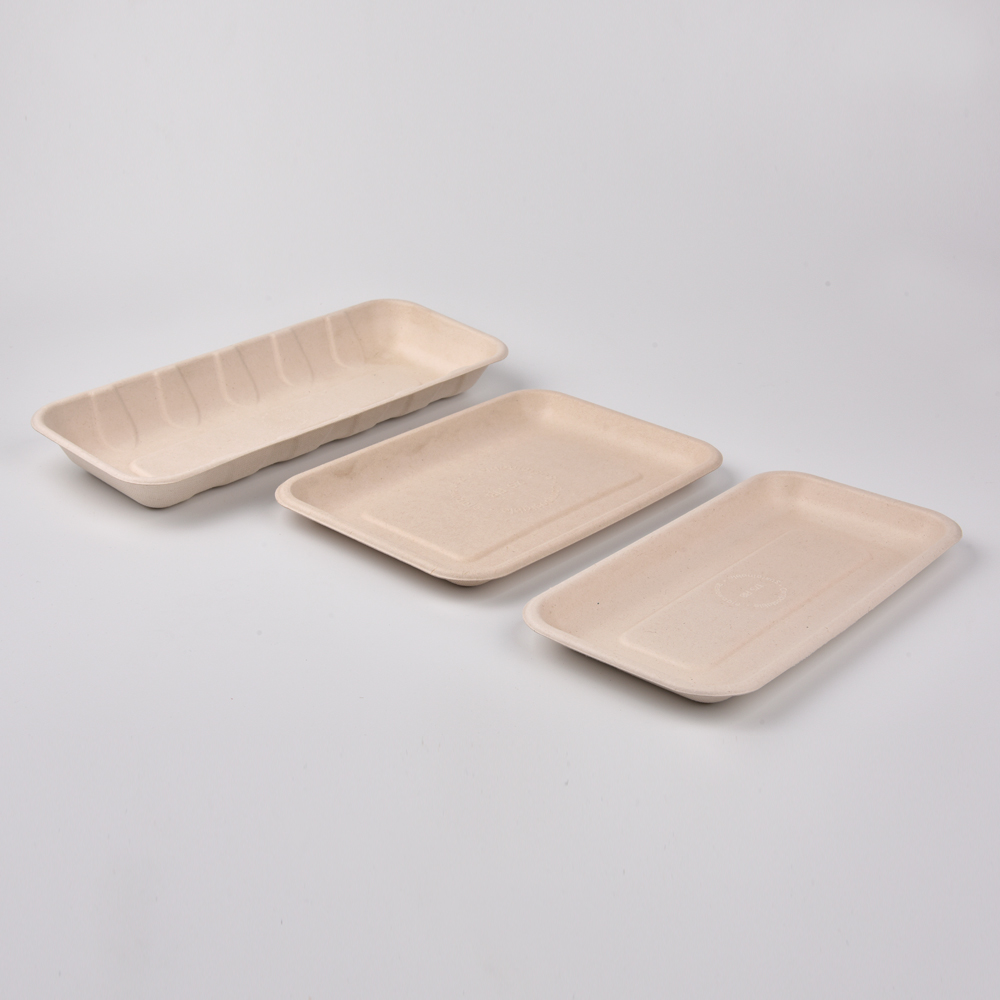 sugarcane bagasse square plate（tray）